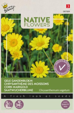 Vetési aranyvirág Native Flowers Bz H