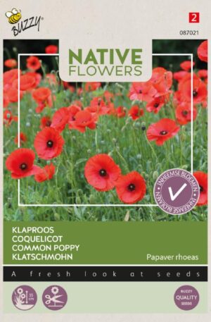 Mezei pipacs Native Flowers Bz H