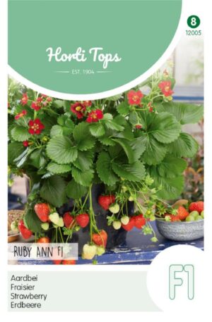 Eper Ruby Ann F1 Ht H