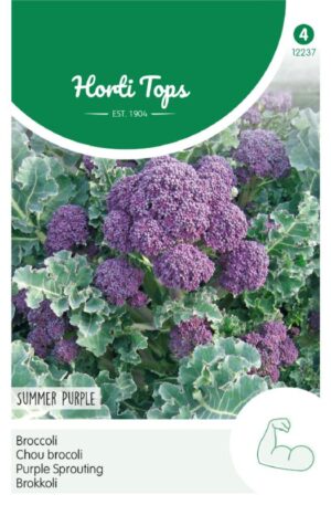 Brokkoli Summer Purple Ht H