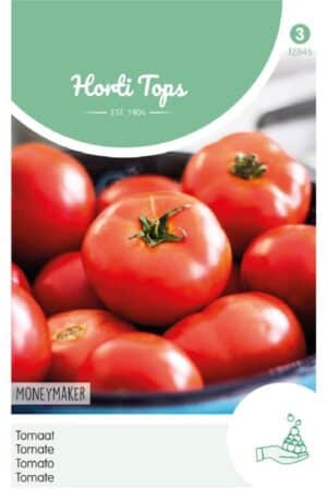 Paradicsom Moneymaker Ht H