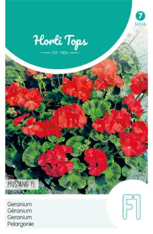 Muskátli Mustang F1 Ht H