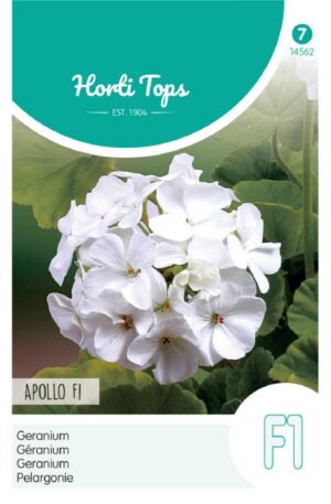 Muskátli Apollo F1 Ht H