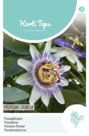 Golgotavirág Passiflora Caerulea Ht H