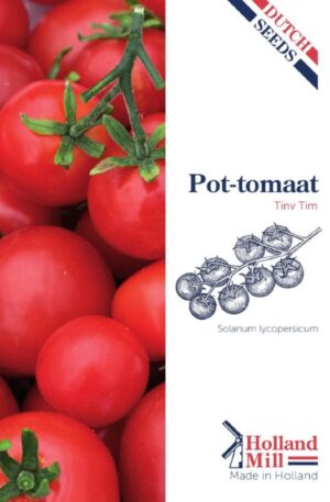 Paradicsom Tiny Tim HM H