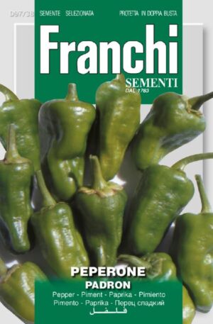 Paprika Padron Franchi H