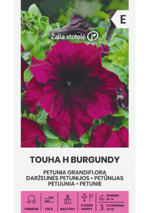 Petúnia TOUHA Hibrid BURGUNDY Z.S SL