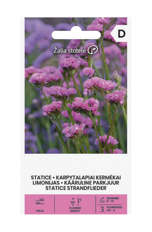 Egynyári sóvirág Statice Rose Z.S SL