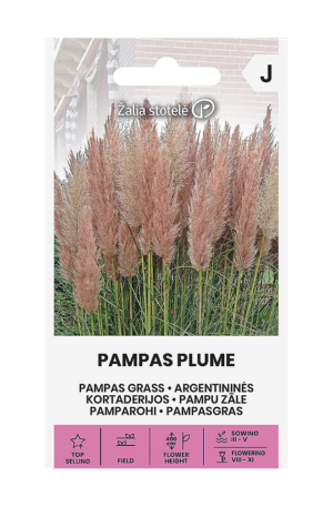 Pampafű PAMPAS PLUME Ross Z.S SL