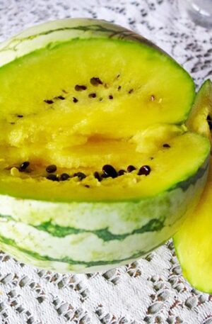 Early Moonbeam Görögdinnye B-S