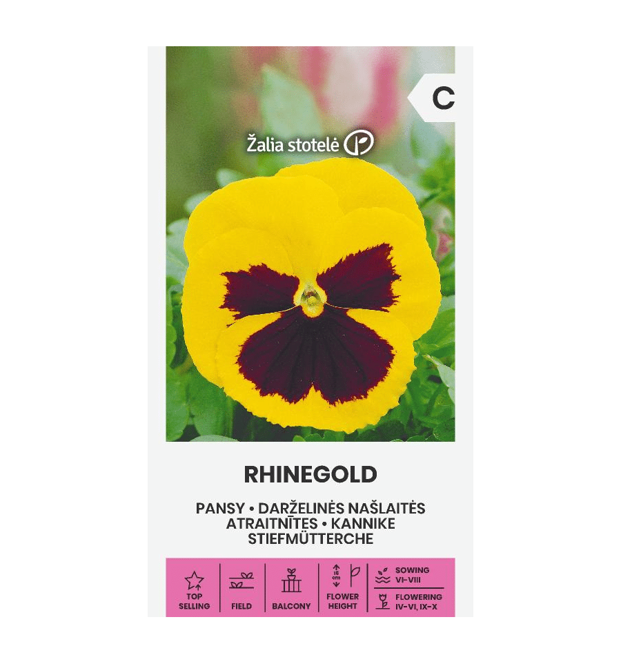 Árvácska RHINEGOLD Z.S SL