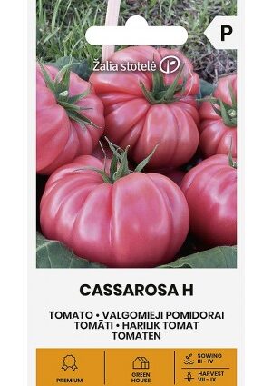 Paradicsom CASSAROSA Hibrid Z.S SL