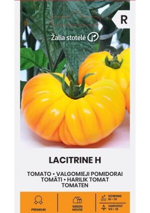 Paradicsom LACITRINE Hibrid Z.S SL