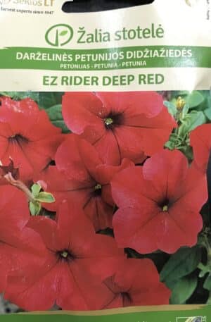 Petúnia Grand Ez Rider Deep Red Z.S SL