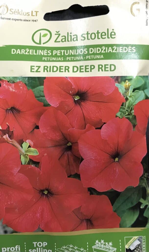 Petúnia Grand Ez Rider Deep Red Z.S SL - Chilimag.hu webshop