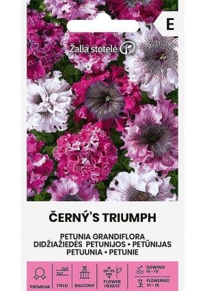 Petúnia ČERNÝ'S TRIUMPH Z.S SL