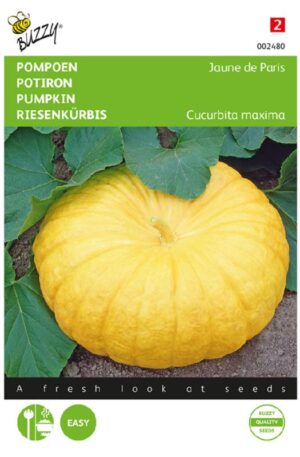 Sütőtök Jaune De Paris Bz H