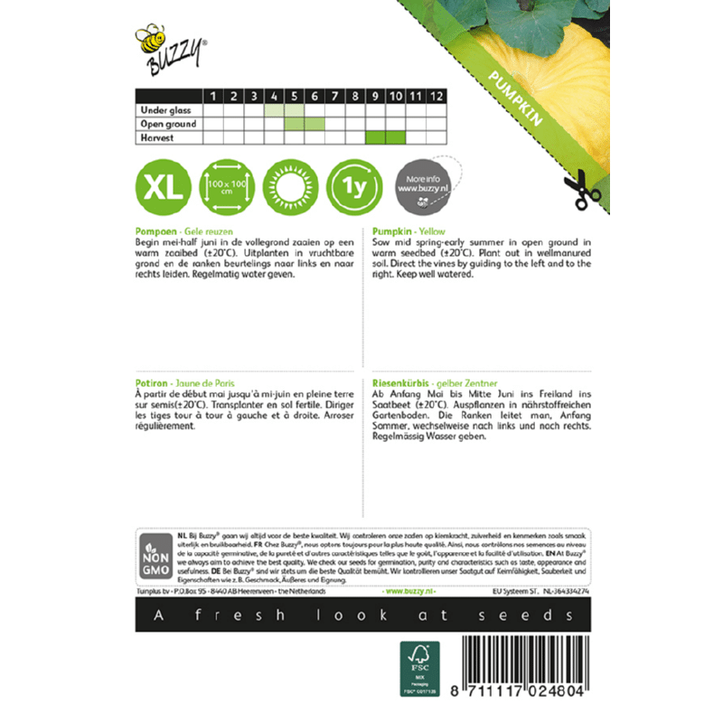 Sütőtök Jaune De Paris Bz H - Image 2