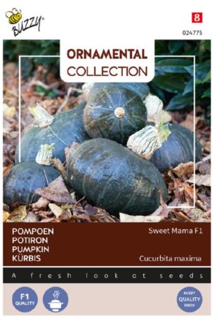 Sütőtök Sweet Mama F1 Ornamental Collection H