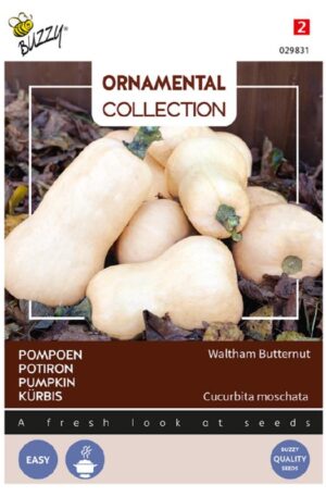 Sütőtök Waltham Butternut Ornamental Collection H