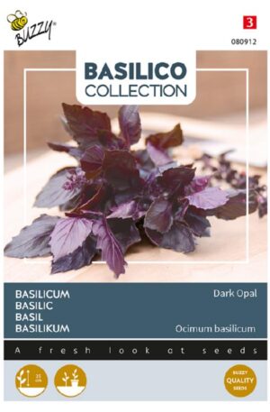 Bazsalikom Dark Opal Basilico Collection H