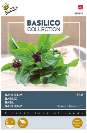 Bazsalikom Thai Basilico Collection H