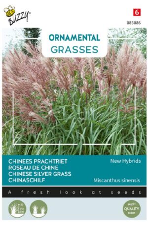 Japánfű New Hybrids Ornamental Grasses H