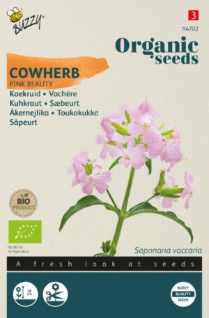 Szappanfű Organic seeds H