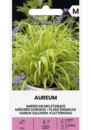 Kásafű AUREUM Z.S SL