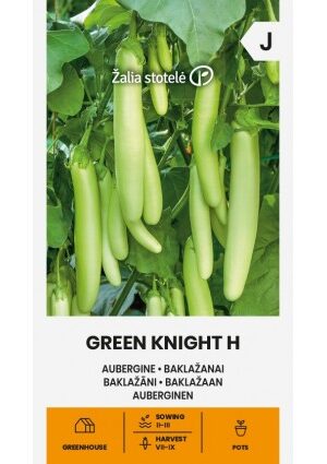 Padlizsán Green Knight Hibrid Z.S SL