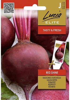 Cékla Red Chine ELN SL