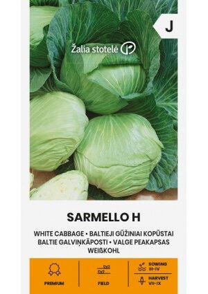 Káposzta Sarmello Hibrid Z.S SL