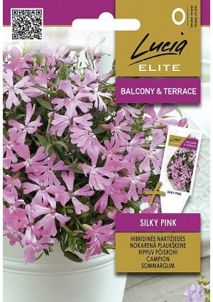 Szegfű Silene keisker  Silky Pink ELN SL