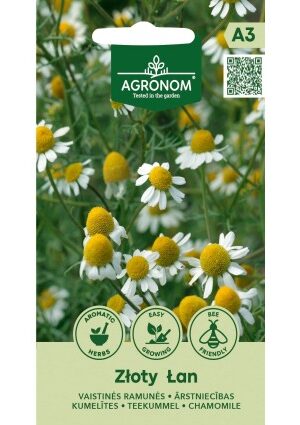 Kamilla ZŁOTY ŁAN Agr SL