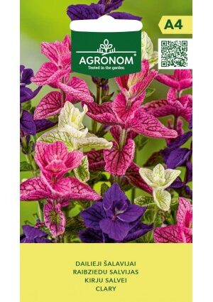 Tarka levelű zsálya Agr SL