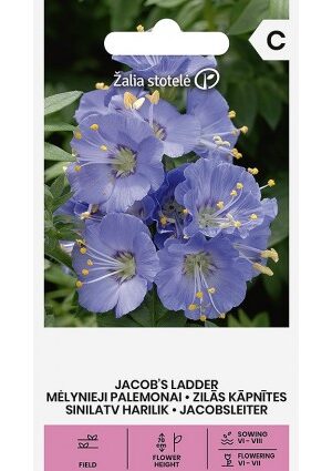 Kék csatavirág JACOB'S LADDER Z.S SL