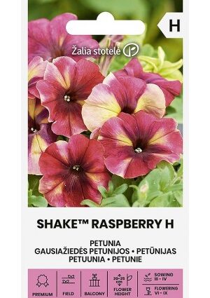 Petunia SHAKE™ RASPBERRY Hibrid Z.S SL