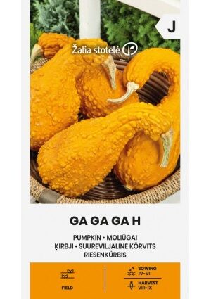Sütőtök Ga Ga Ga Hibrid Z.S SL