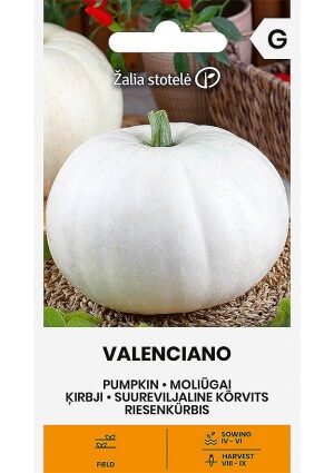 Sütőtök Valenciano Z.S SL