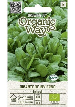 Spenót Gigante de Invierno OW SL