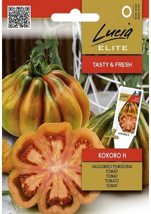 Paradicsom Kokoro Hibrid ELN SL