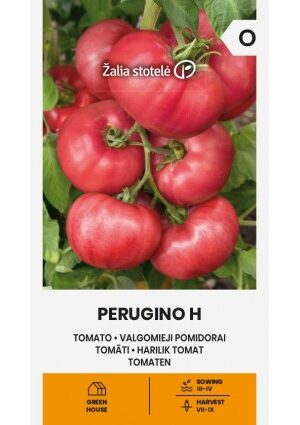 Paradicsom Perugino Hibrid Z.S SL