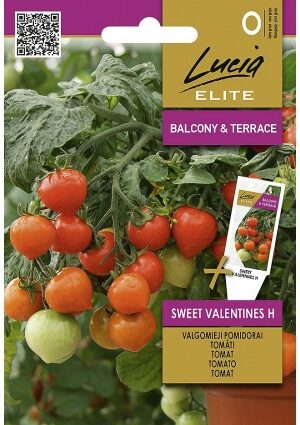 Paradicsom Sweet Valentines Hibrid ELN SL