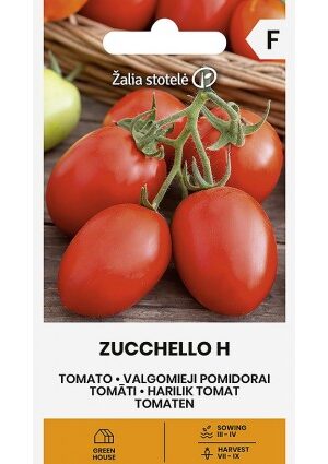 Paradicsom Zucchello Hibrid Z.S SL