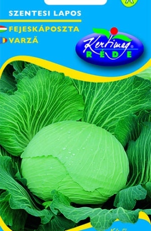 Káposzta Szentesi lapos Pannon RK