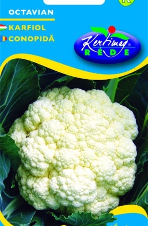 Karfiol Octavian Őszi Pannon RK