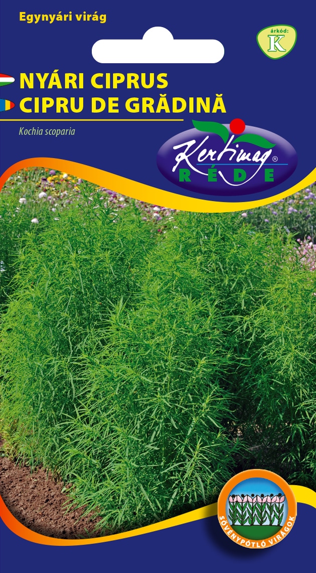 Nyári Ciprus Pannon RK