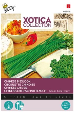Kínai metélőhagyma Xotica H