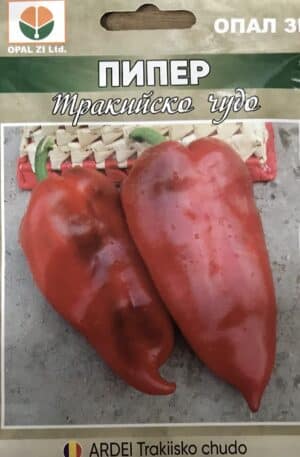 Paprika Trakiya chudo Opal Bg