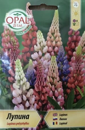 Csillagfürt Opal Bg